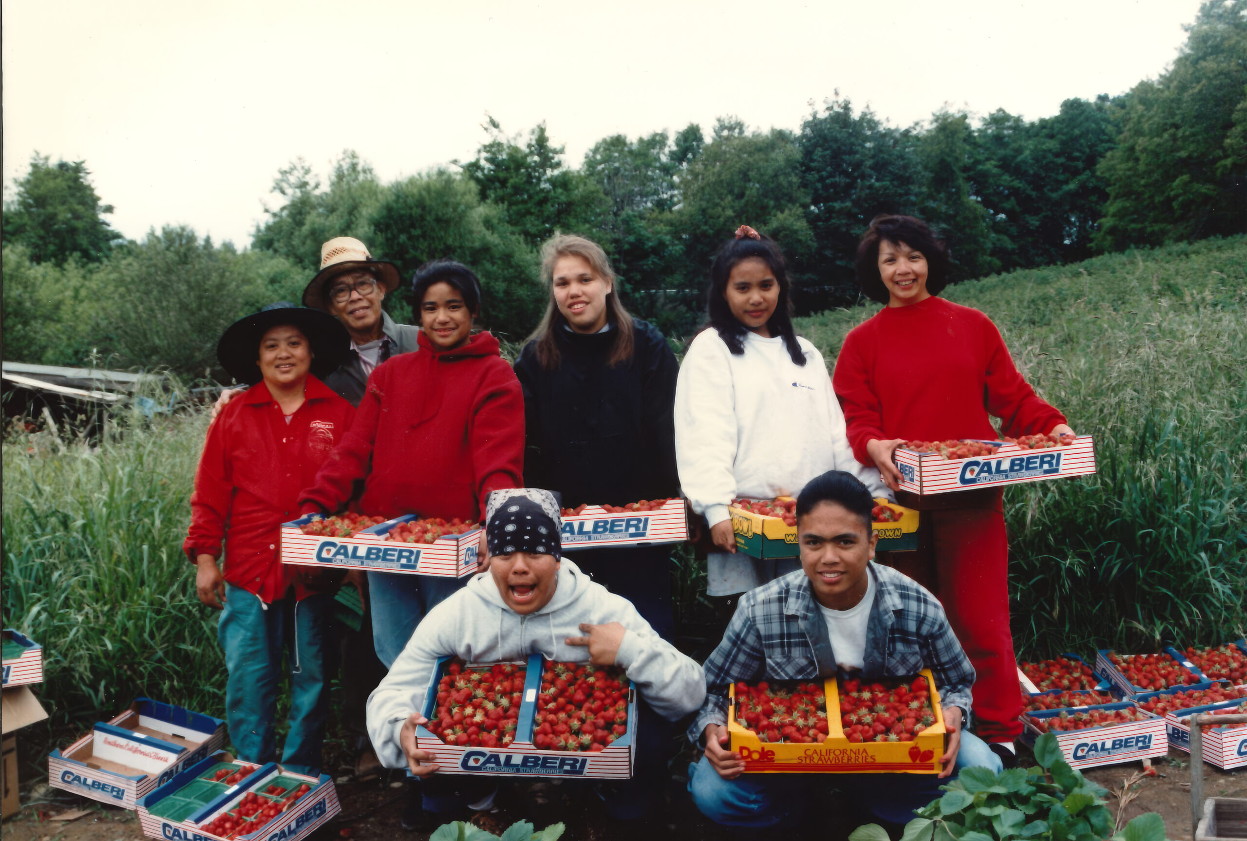 Strawberry Fields Forever: Picker Cabin Stories featured image